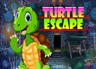 G4K Turtle Escape